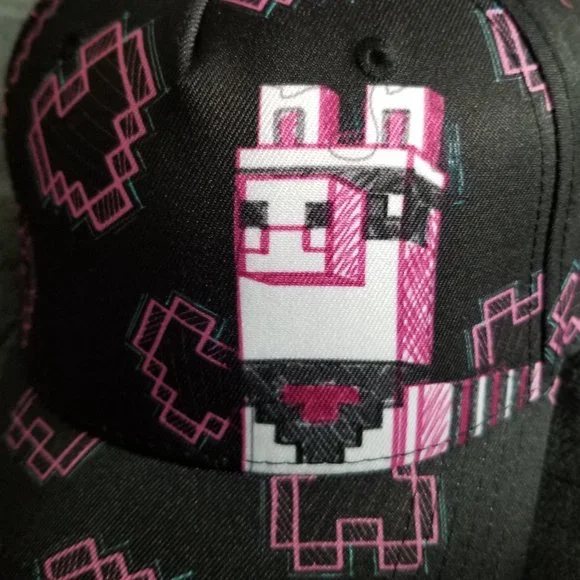 Minecraft Llama Cap - Picture 7 of 8